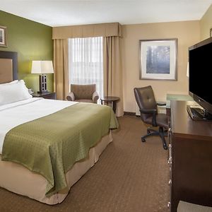 King Room Mountain View